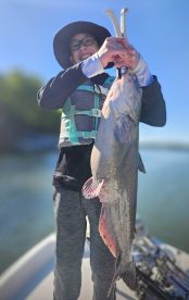 Solid Lake Wylie Catfish