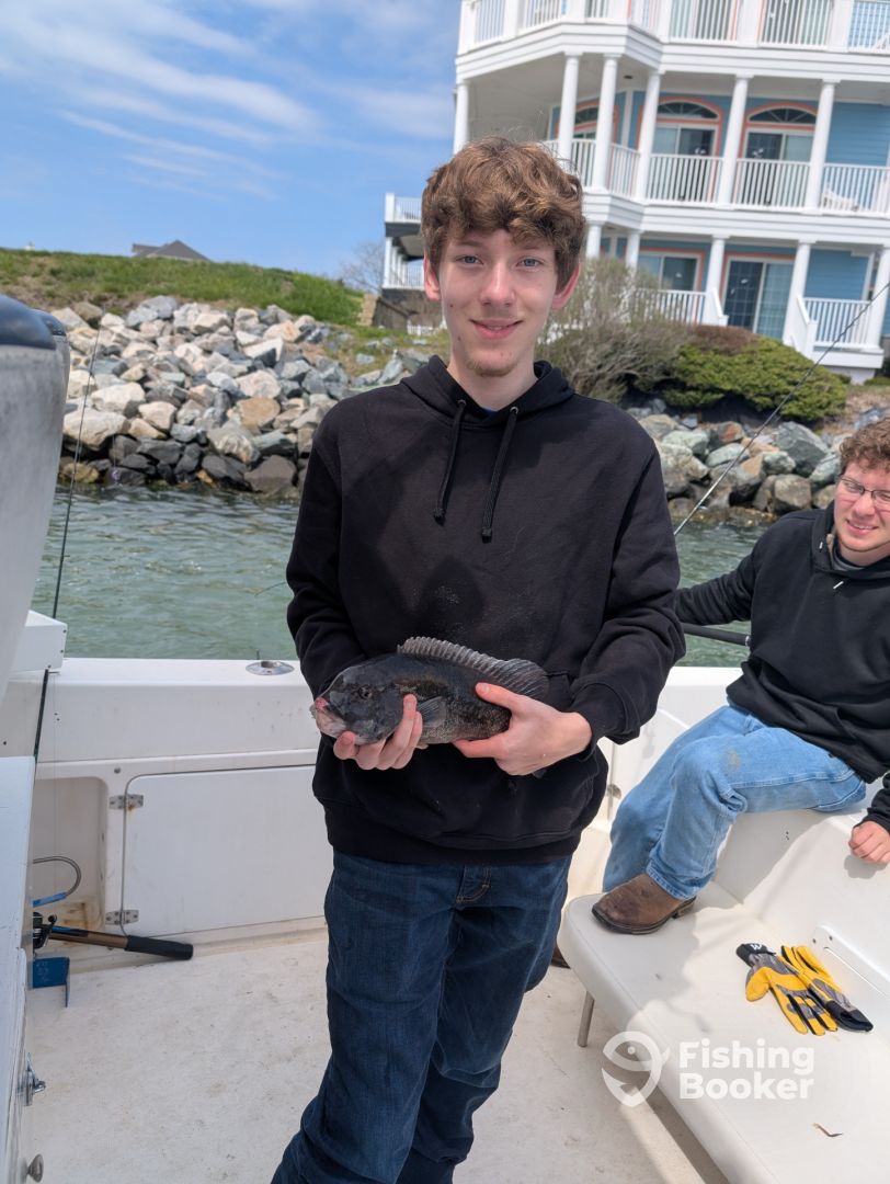 Ocean City Report Photo 0