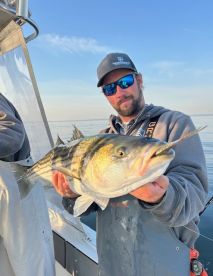 Phenomenal Live Bunker Fishing