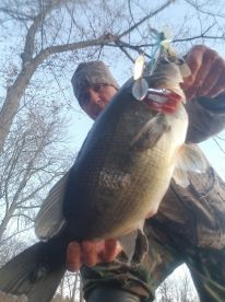 BASSIN!