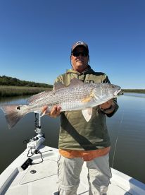 Jekyll Island Report Photo 1
