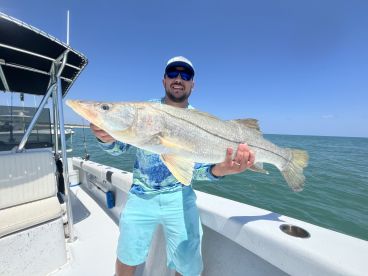 Some recent catches