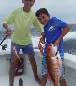 Quepos Report Photo 1