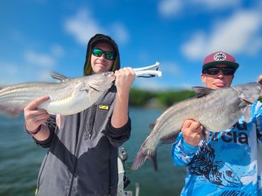 Another Good Morning on Lake Wylie Cat F
