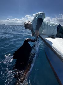 2nd sailfish!