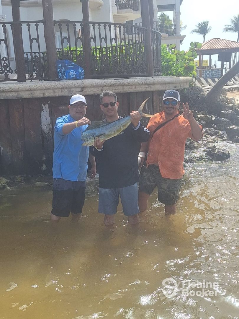 Playa Del Carmen Report Photo 0