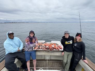 San Pedro Report Photo 1