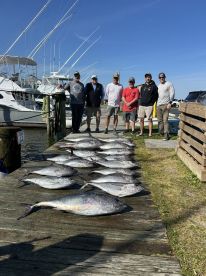 Nice Tuna