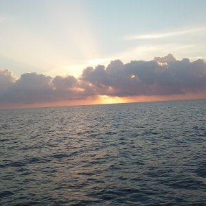 Pompano Beach Report Photo 1