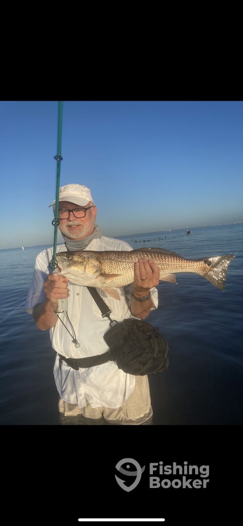 Palmetto Report Photo 0