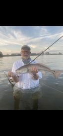 Palmetto Report Photo 2