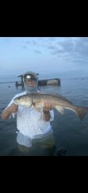 Palmetto Report Photo 1