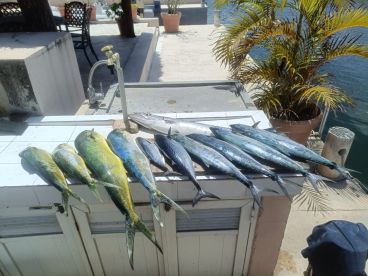 Puerto Aventuras Report Photo 2