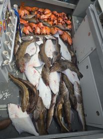 Maximum limits every day!