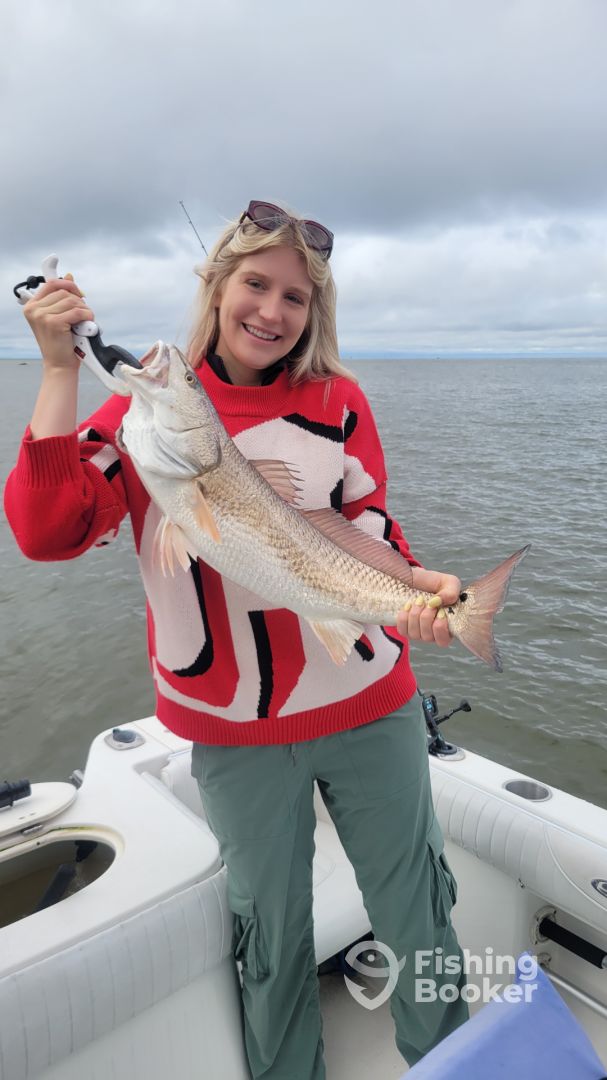 Biloxi Report Photo 0