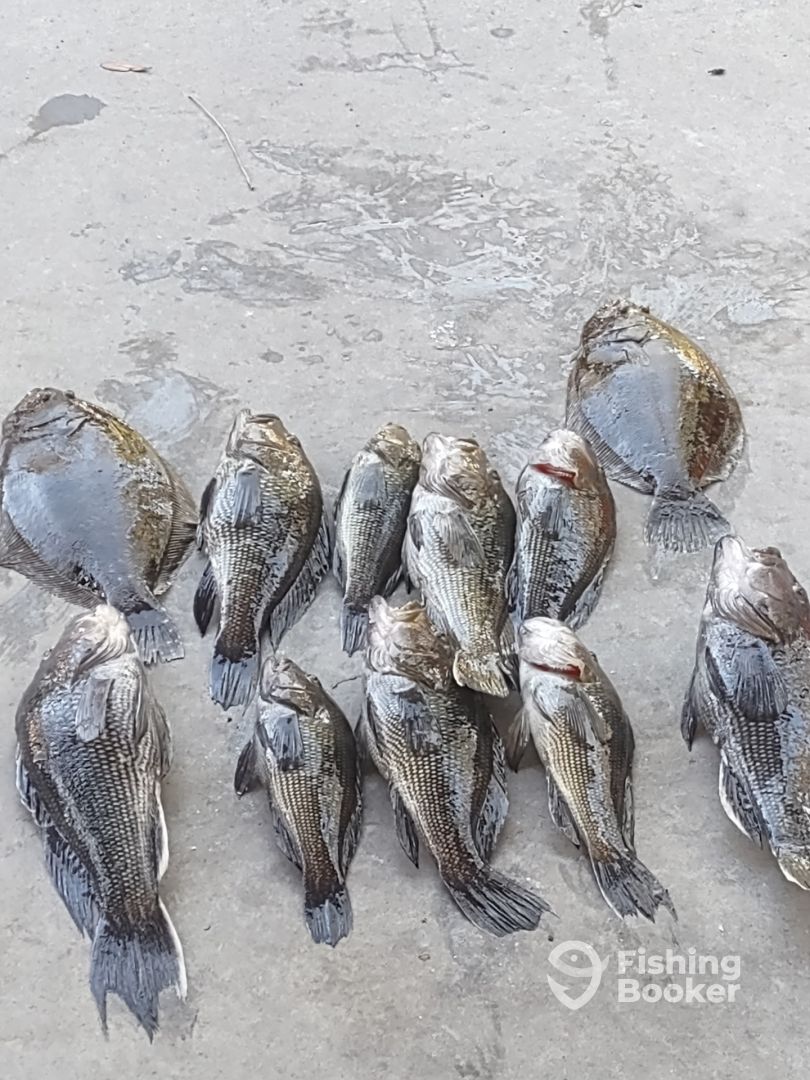 Port St. Joe Report Photo 0