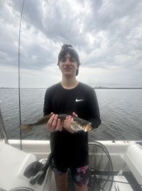 Spring Hill Report Photo 1