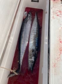 Wahoo Fest