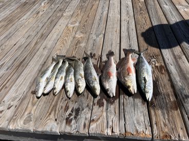 Pensacola Report Photo 2