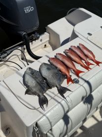 Look What’s Biting!!!