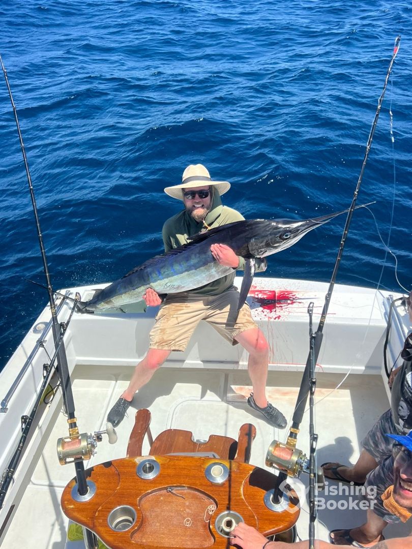 Cabo San Lucas Report Photo 0