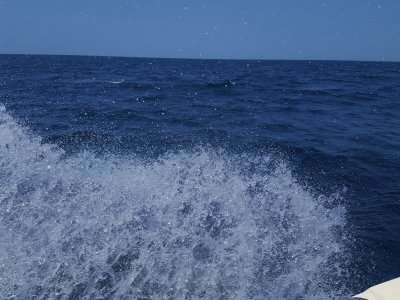 Orange Beach Report Photo 2