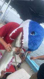Darien Report Photo 2