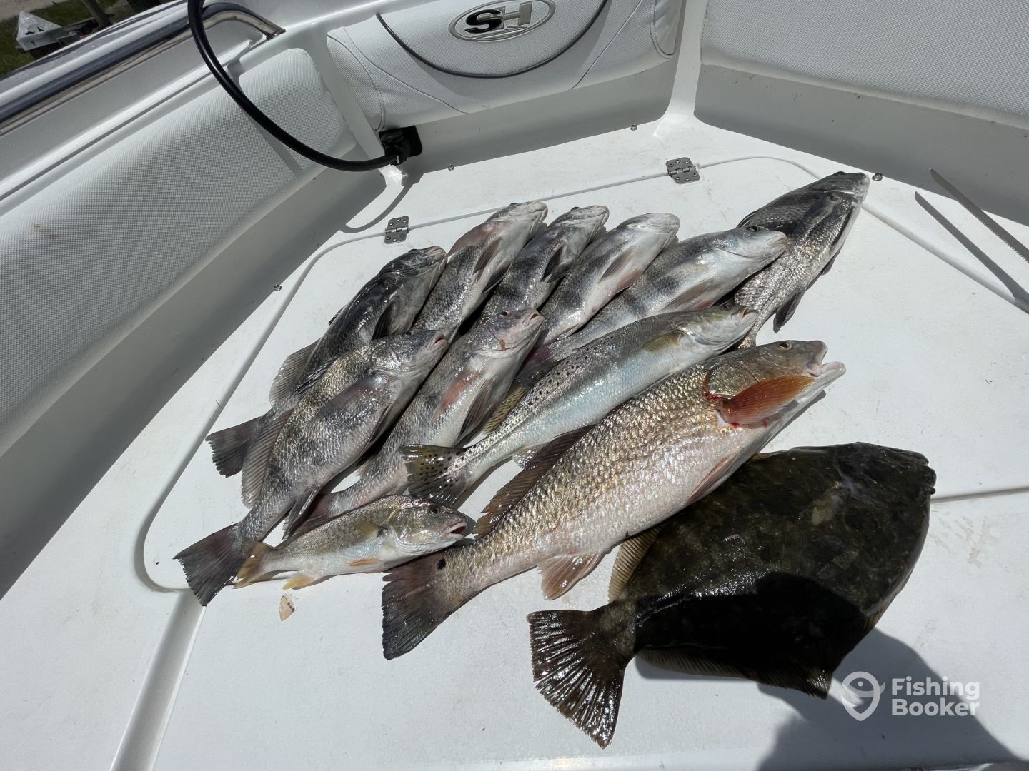 Kemah Report Photo 0
