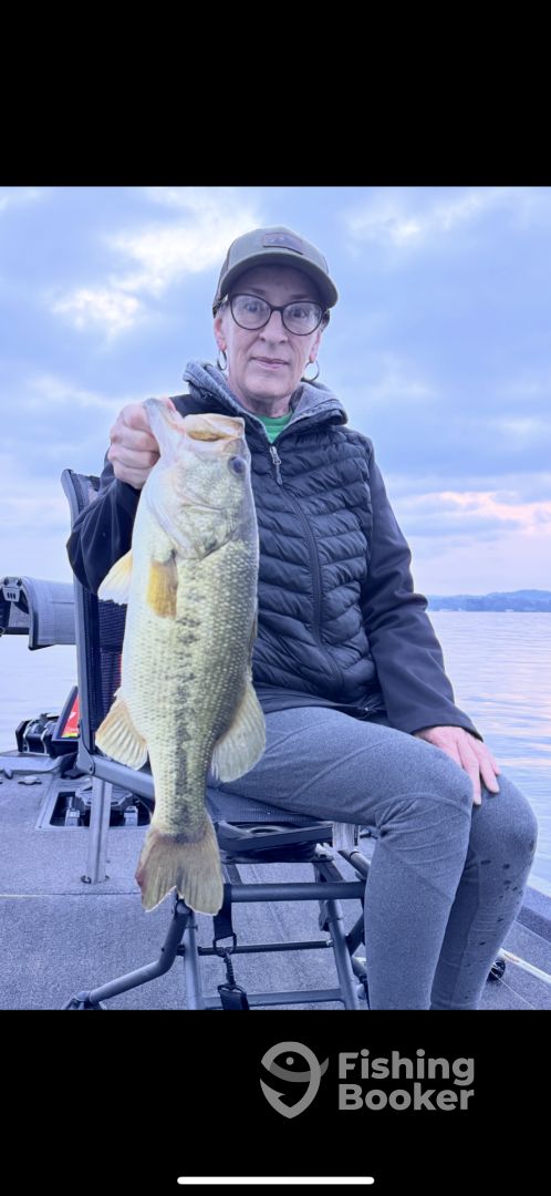 Guntersville Report Photo 0