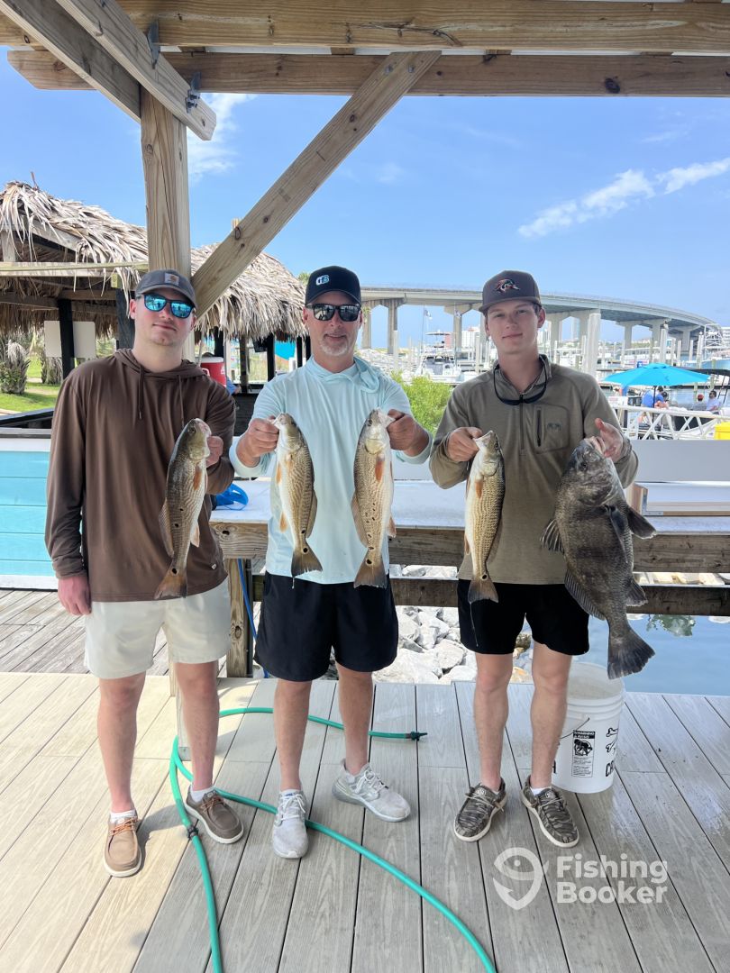 Orange Beach Report Photo 0