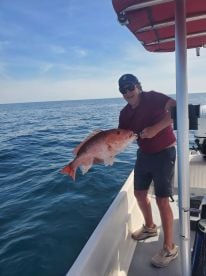  Red Snapper Bite is ON FIRE! 