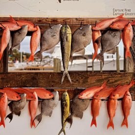 Choctawhatchee Bay Report Photo 2