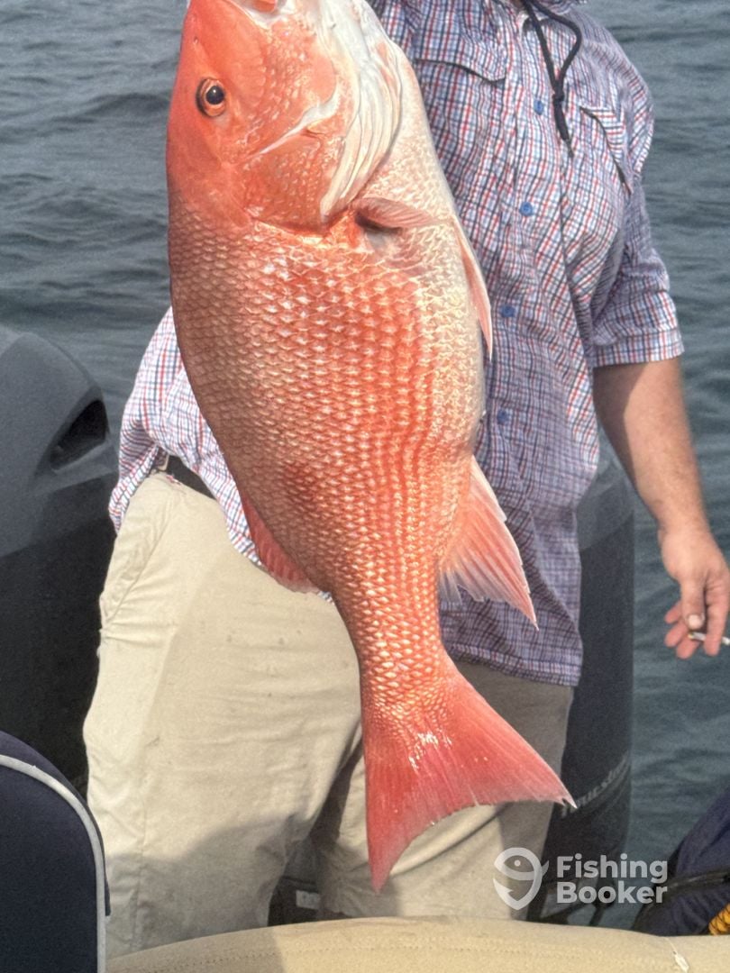 St. Simons Island Report Photo 0