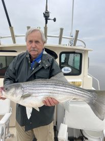 Saugerties Report Photo 1