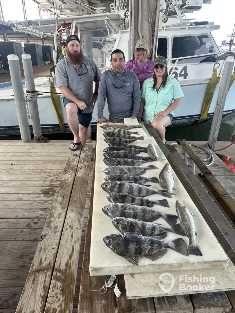 Pelican Island Report Photo 0