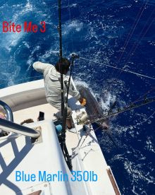 350lb Blue Marlin catch