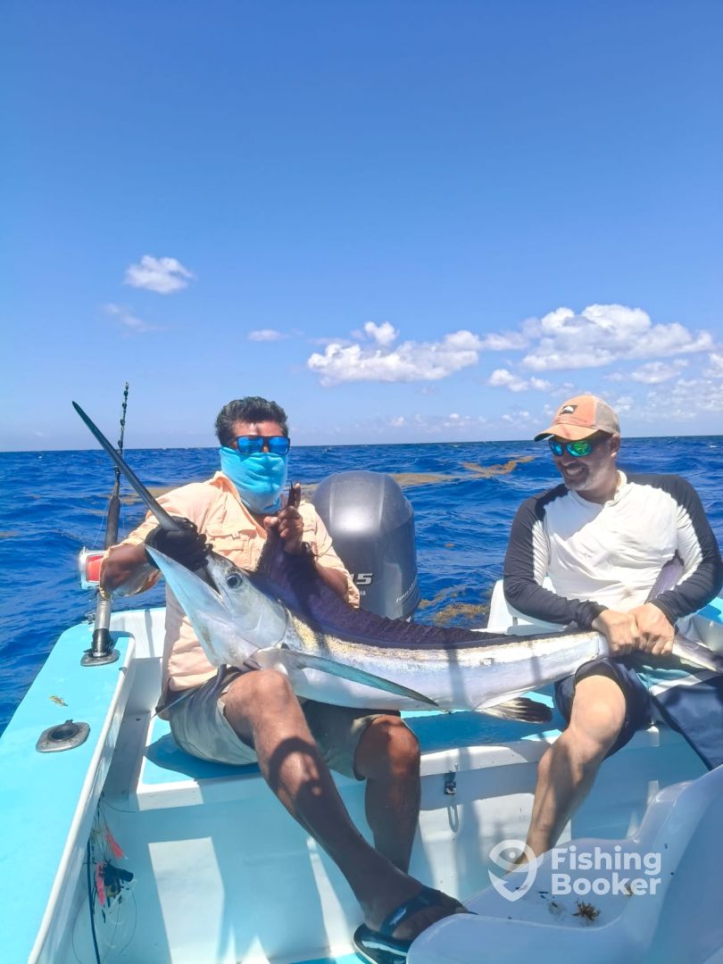 Playa Del Carmen Report Photo 0