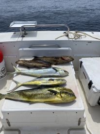 Fun day with a mixed bag!