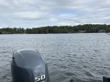 Kenai Peninsula Report Photo 2