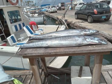 Oranjestad Report Photo 1