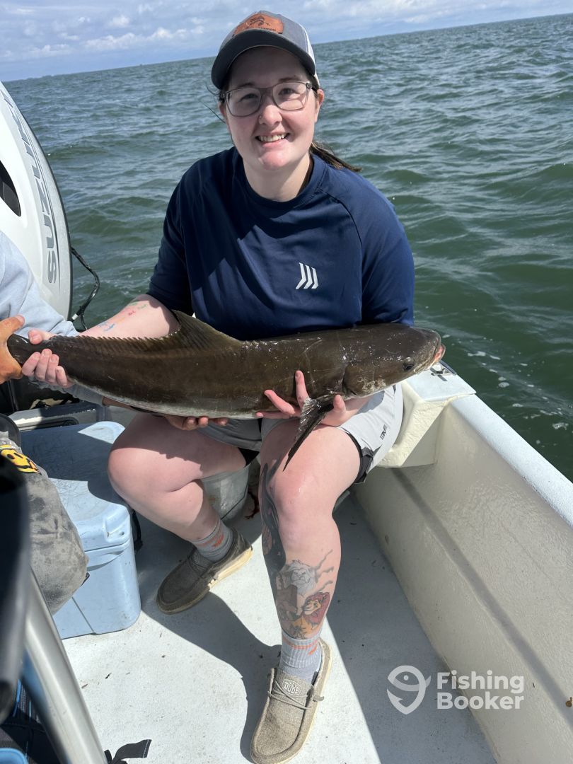 Chesapeake Bay Report Photo 0