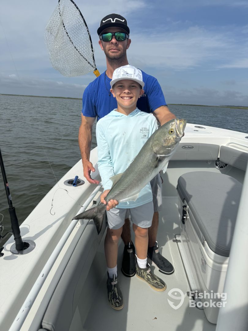 Beaufort Report Photo 0