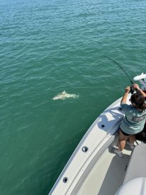 Beaufort Report Photo 1