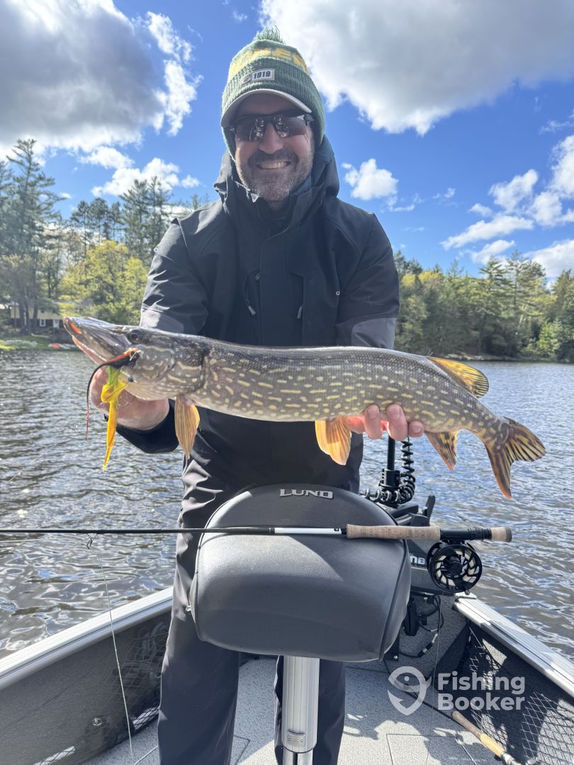 Rhinelander Report Photo 0