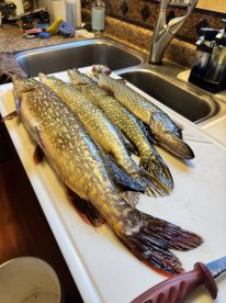 Rhinelander Report Photo 1