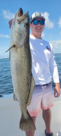 BIG Trout