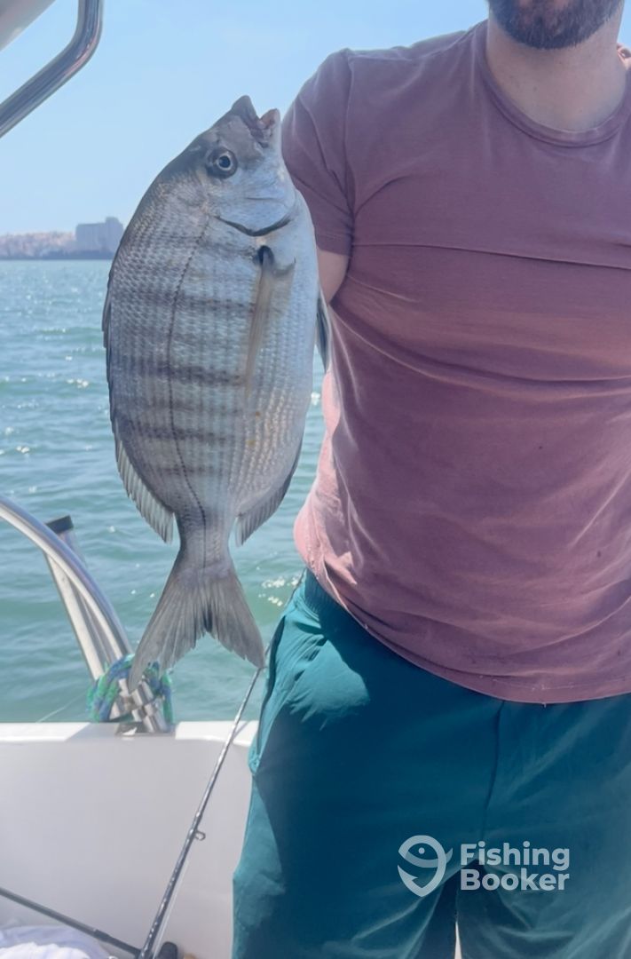 Lisbon Report Photo 0
