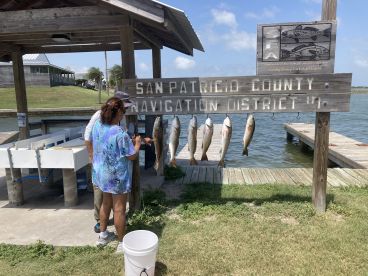 Ingleside Report Photo 4