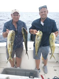 Mahi mahi may.......june!