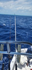 Key West Report Photo 2